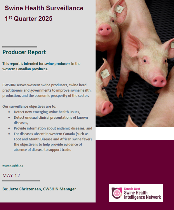 Report for producers, 1st Quarter 2025 ready for distribution by the Pork Organization