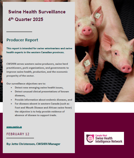 CWSHIN’s Producer Report for quarter 4 2025 is ready for distribution
